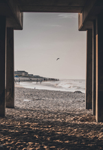Framed by the Pier