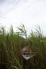 Forgotten Boat in the Marsh