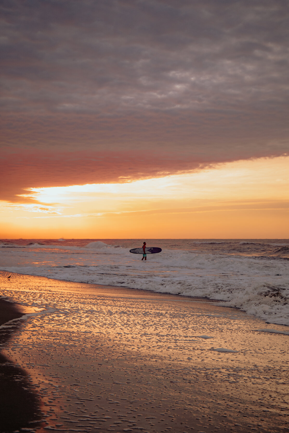 Surfer at Golden Hour