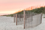 Dune Fences at Sunset