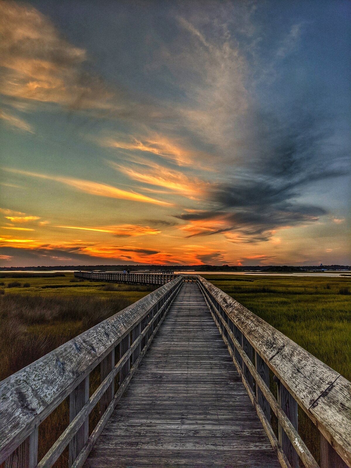 Boardwalk Through the Marsh