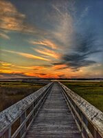 Boardwalk Through the Marsh