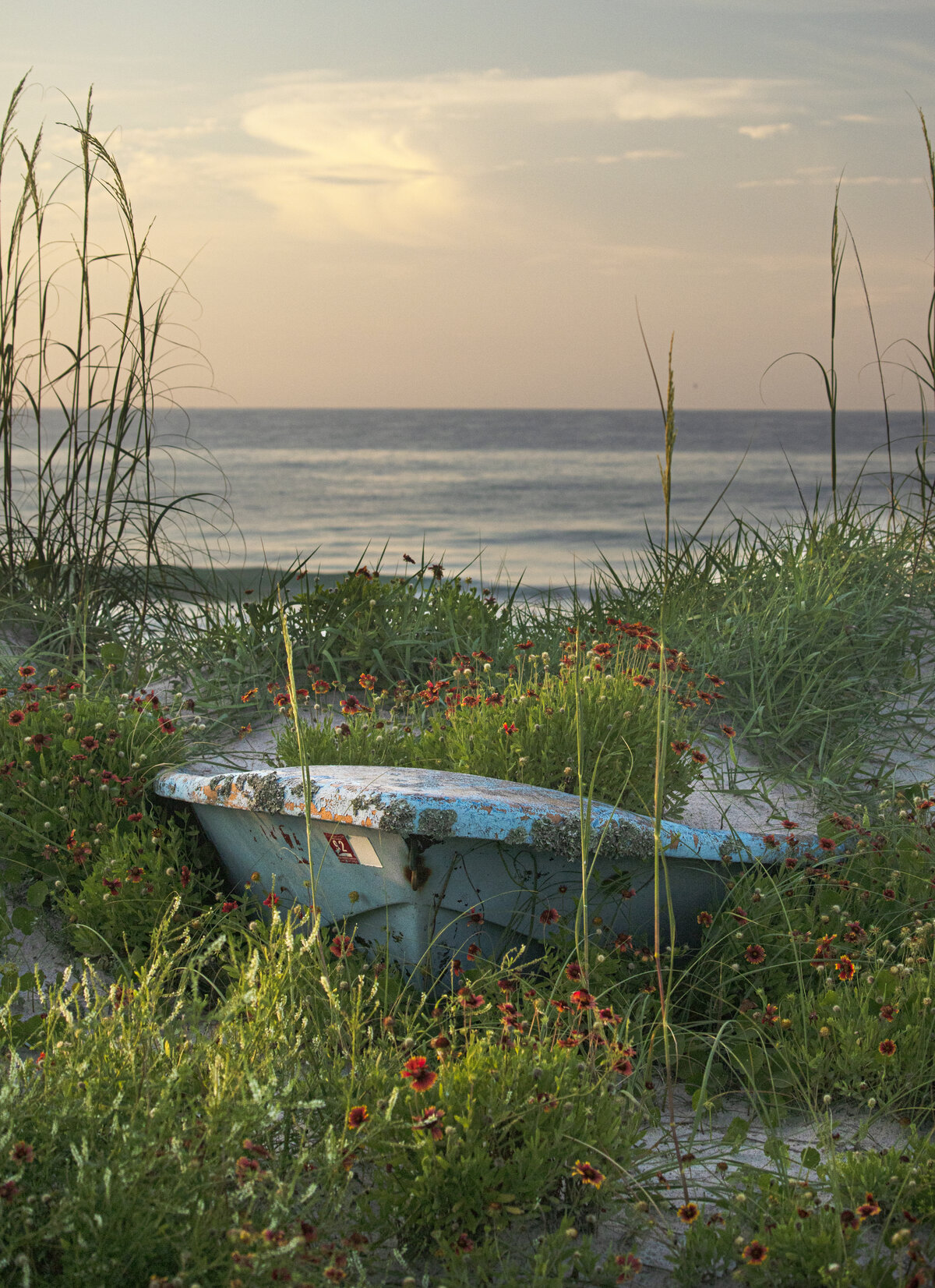 Wildflowers in an Old Rowboat
