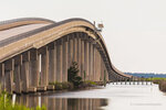 Bridge Over the Marsh