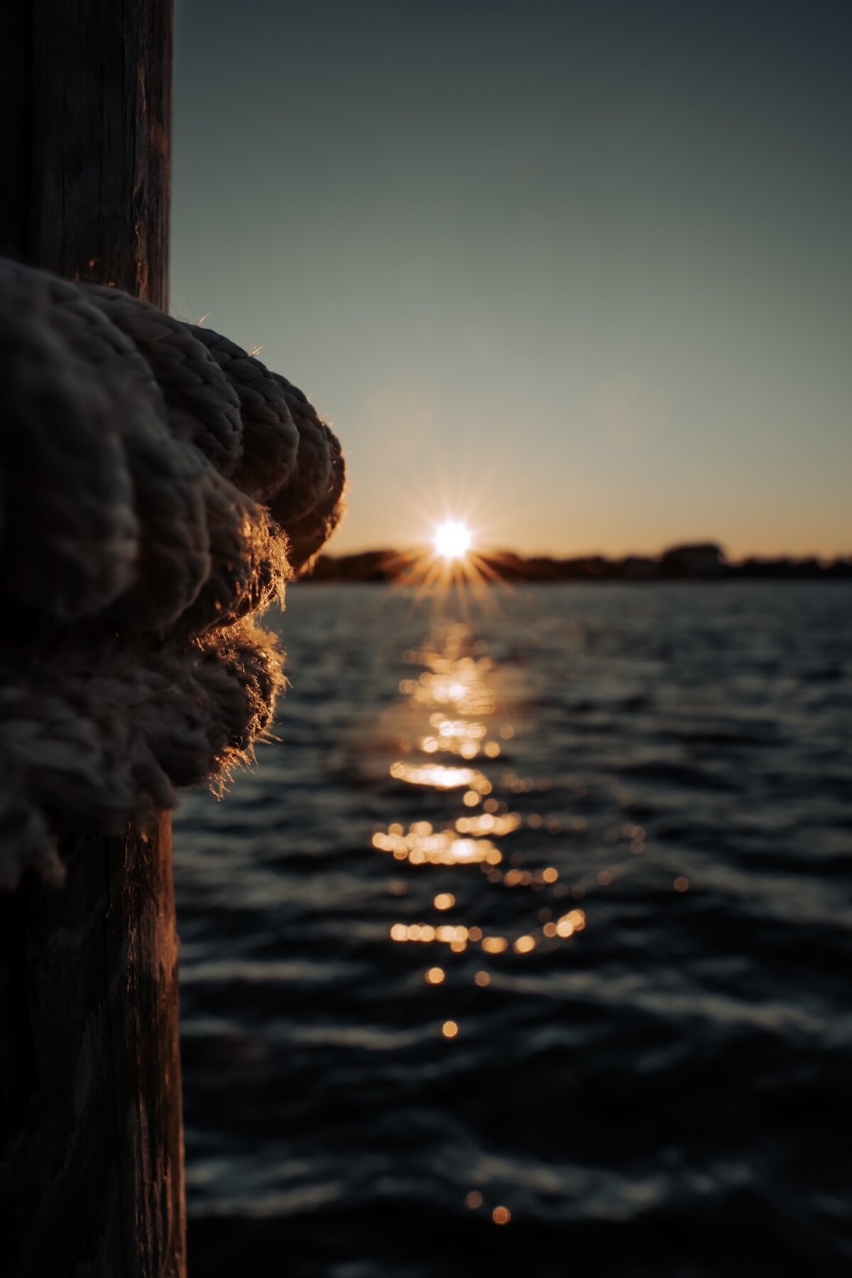 Sunstar on the Dock Line