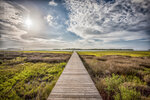 Boardwalk to the Marsh
