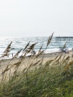 Beach Day by the Pier
