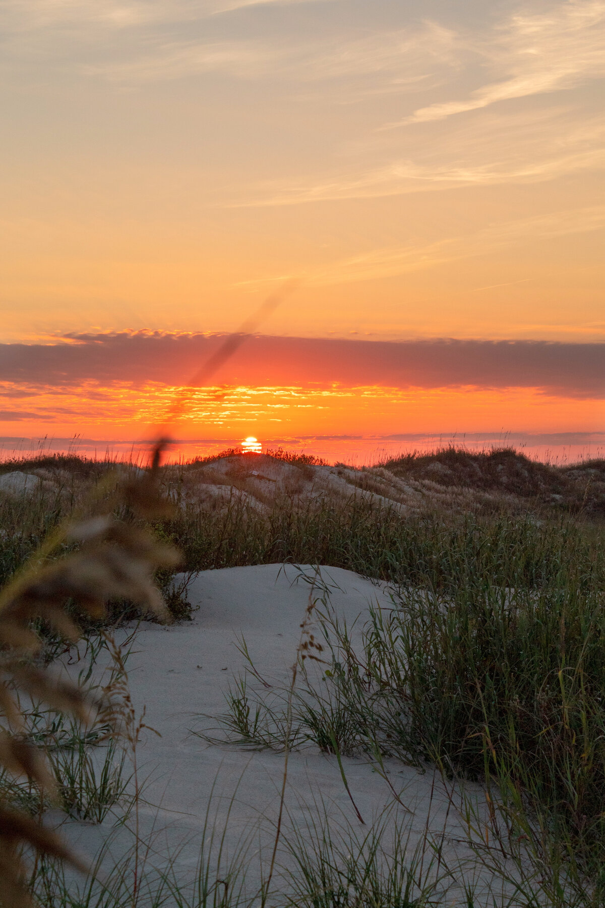 Sunset Over the Dune Grass