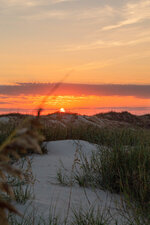 Sunset Over the Dune Grass