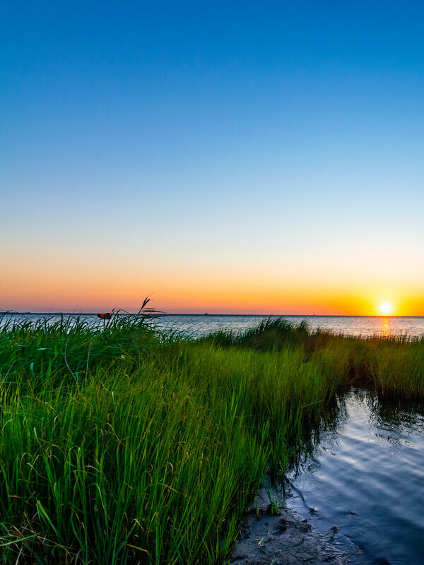 Marsh Grass at Sunset