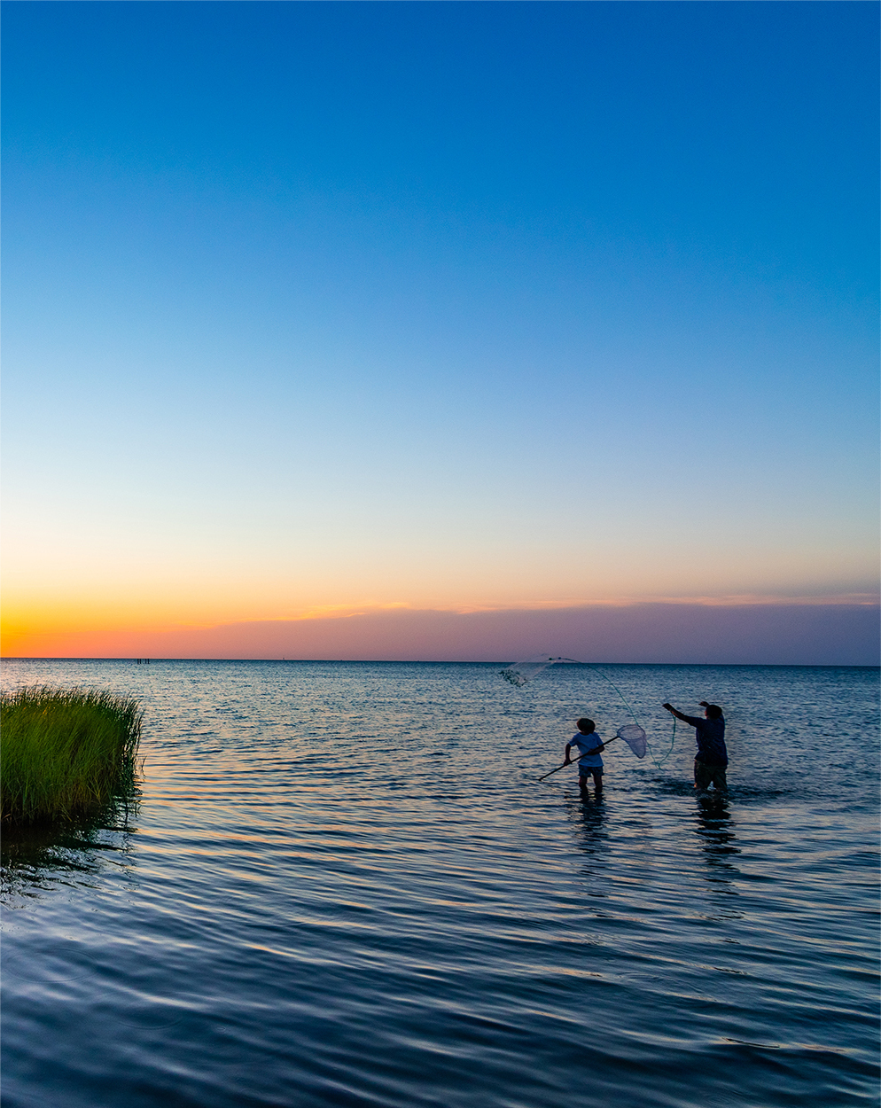 Casting the Net at Dusk