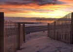 Fence Line to the Pier