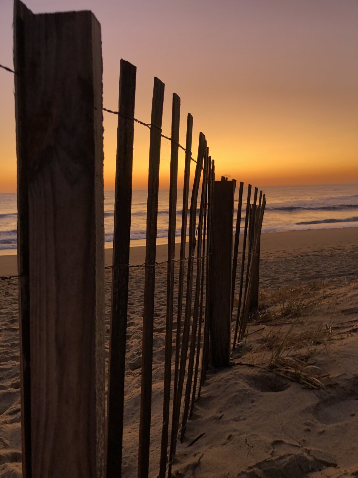 Dune Fence at Sunrise