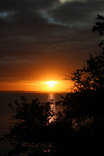 Sunset Through the Trees