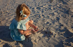 Little Beachcomber