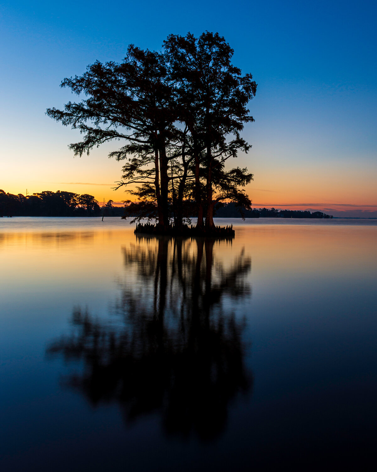 Cypress Island at Dusk