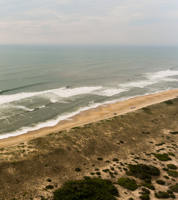 Aerial View of the Surf Line