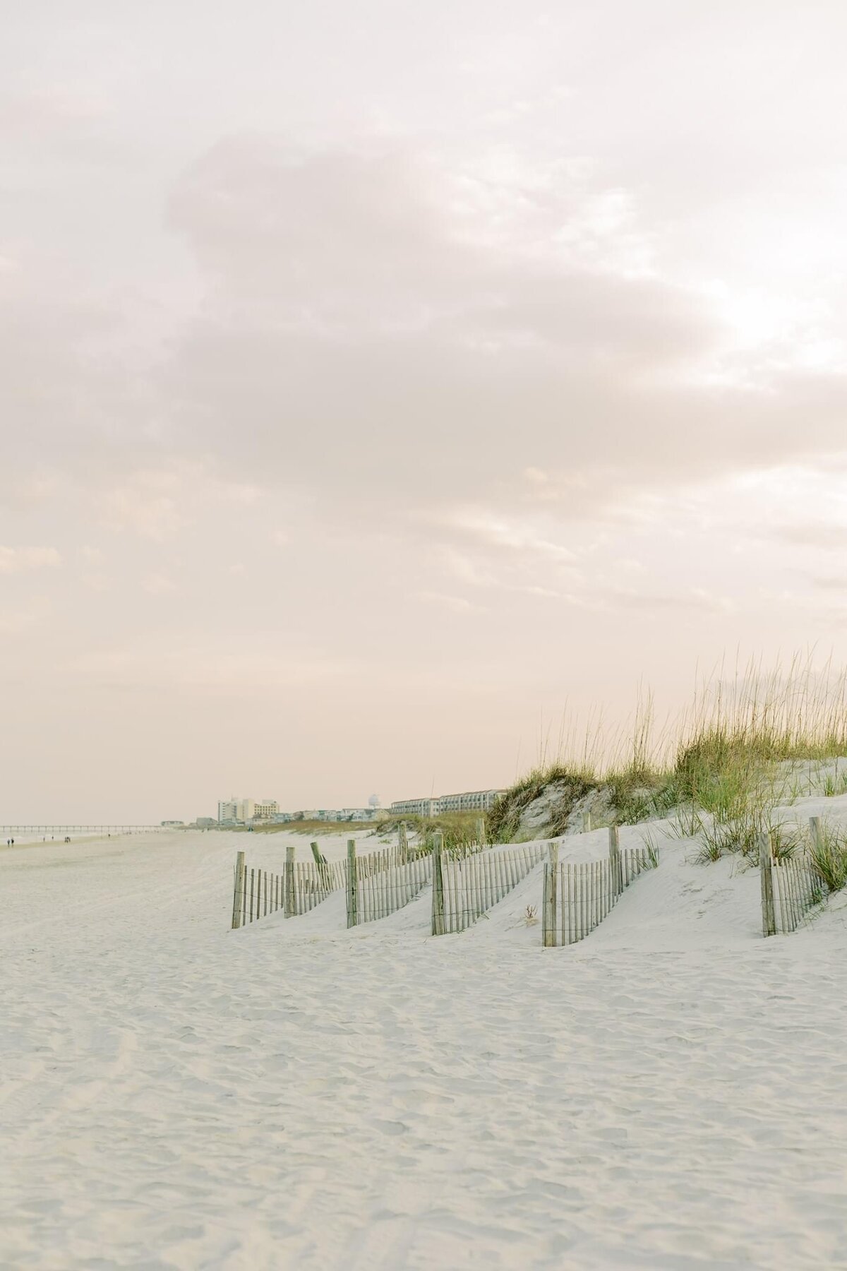 Beach Dunes at Dusk
