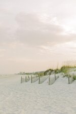 Beach Dunes at Dusk