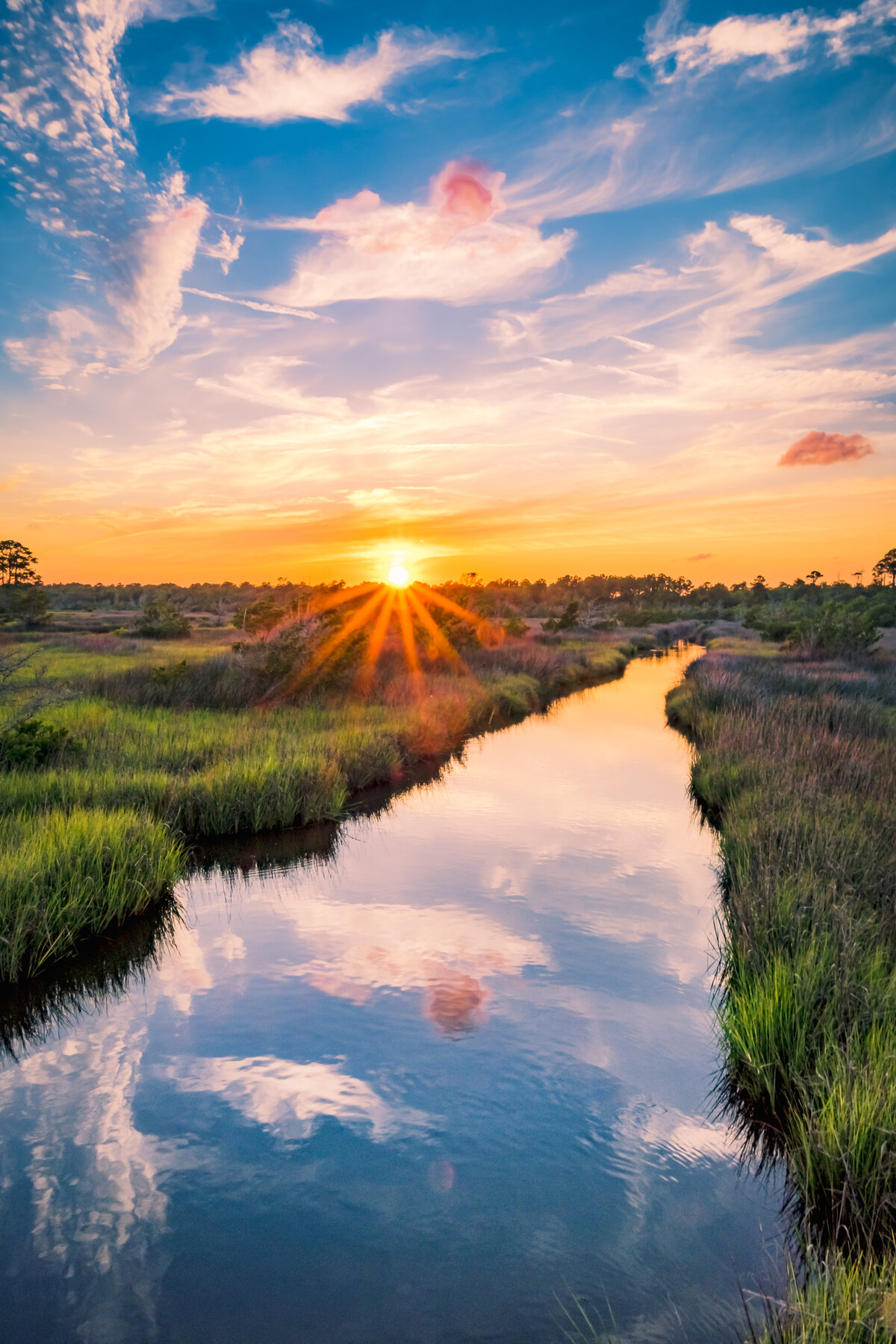Marsh Creek Sunburst