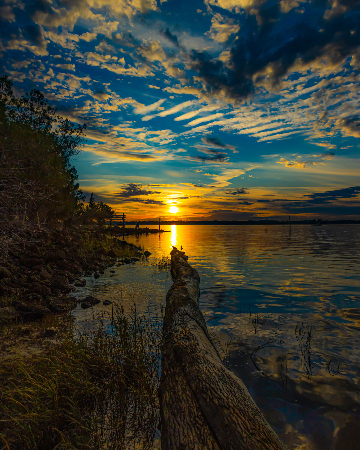 Driftwood Log at Sunset