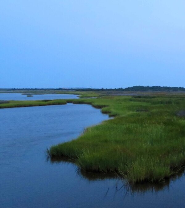 Bodie Island Lighthouse Boardwalk