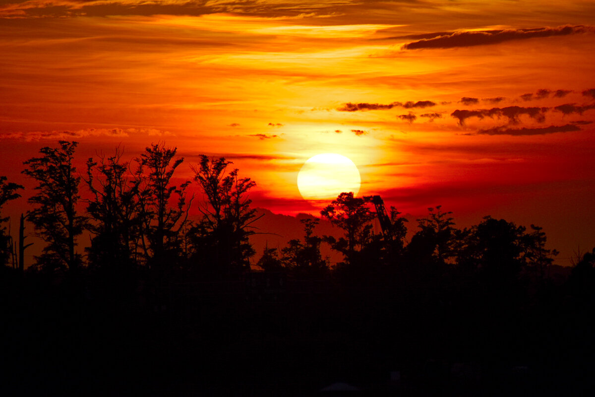 Silhouetted Treeline Sunset