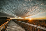 Marsh Boardwalk at Dusk