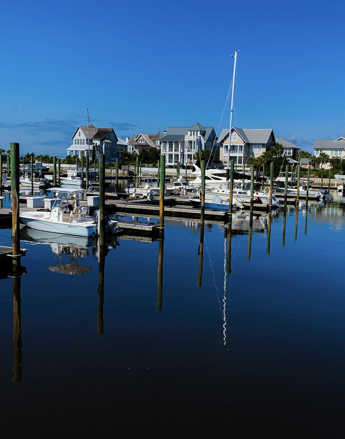 Marina Morning