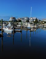 Marina Morning