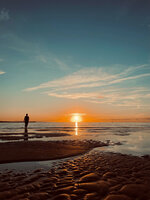 Walking the Tideline