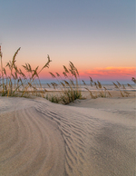 Windswept Dune at Sunset
