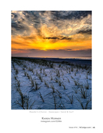 Rows of Sea Oats at Dawn