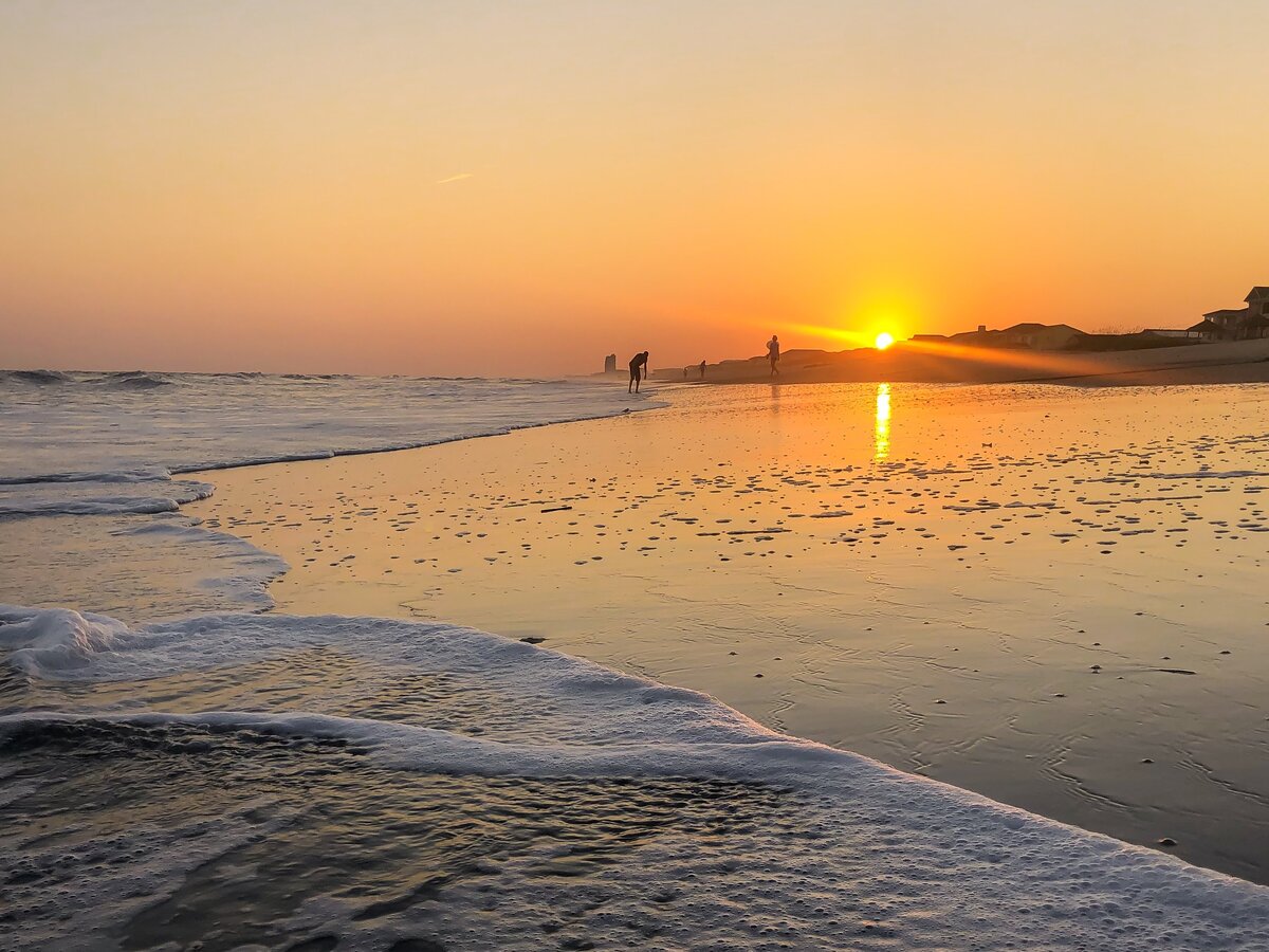 Morning Beachcombers