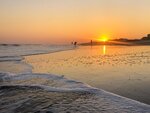 Morning Beachcombers