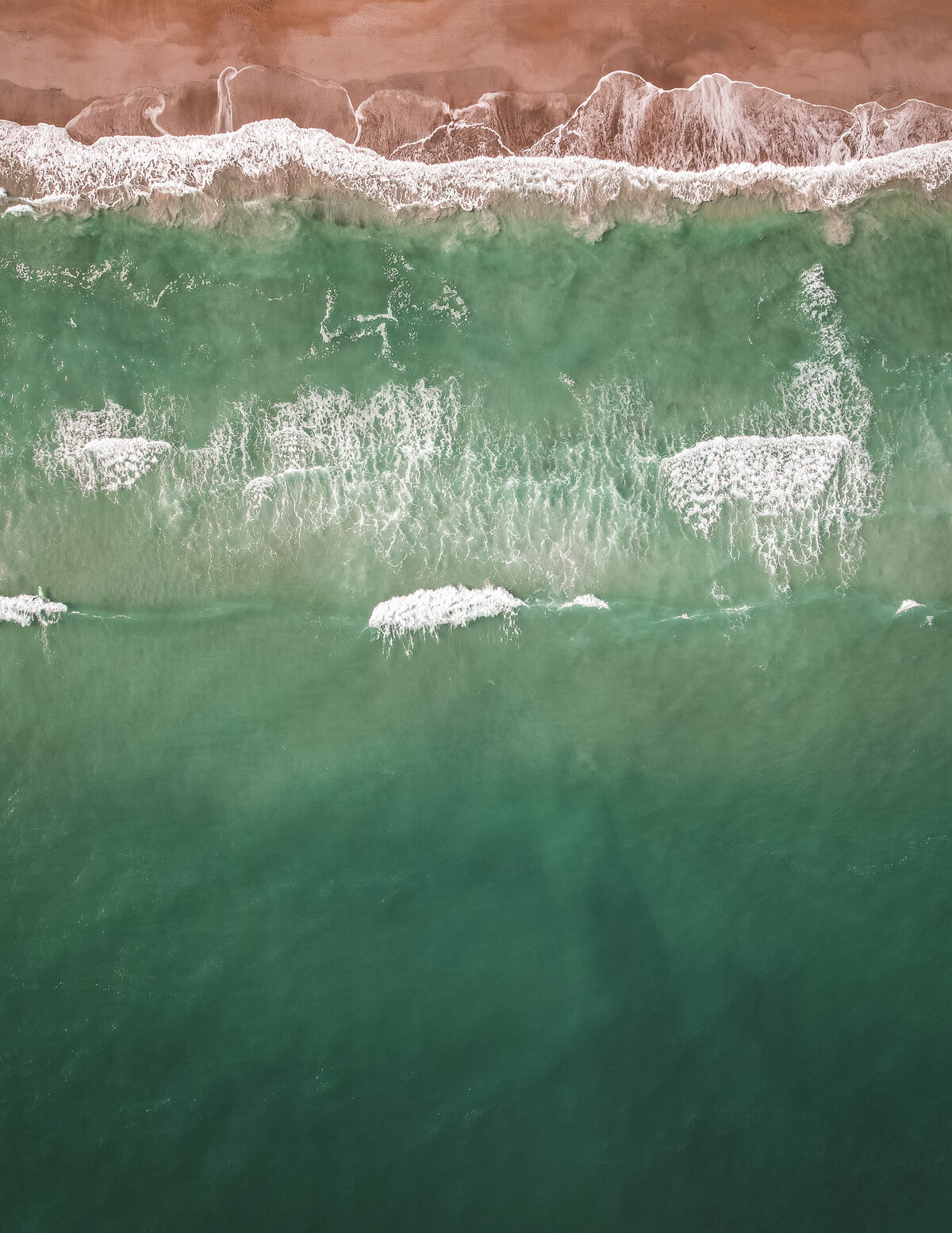 Whales at Wrightsville