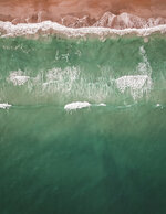 Whales at Wrightsville