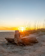 Oak Island Sun Rays