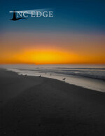 Morning Shorebirds