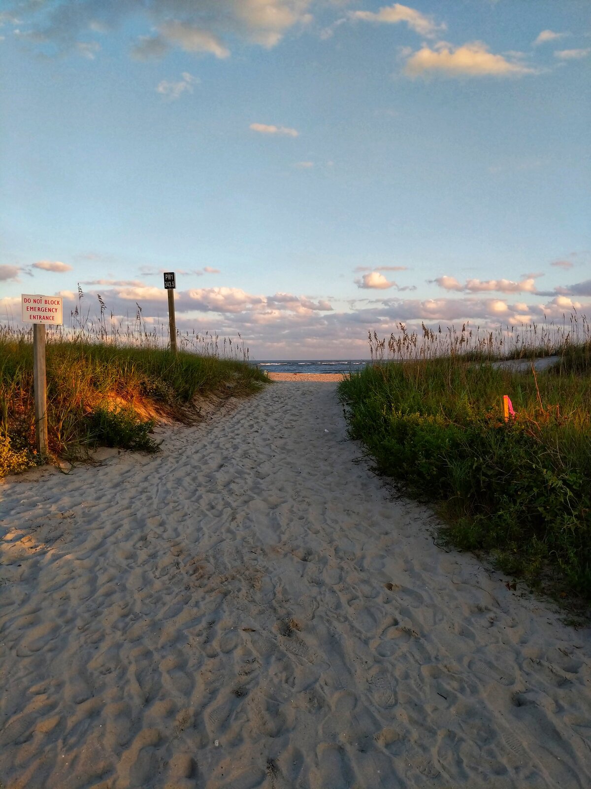 Path to the Shore