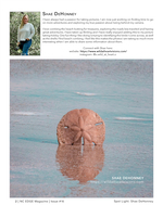 Sand Dollar Reflection