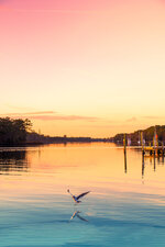 Evening Flight
